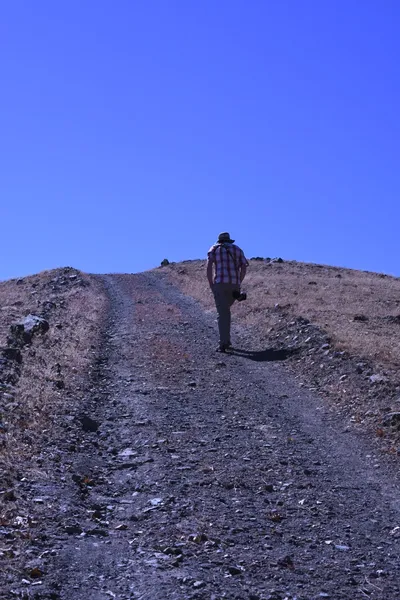 DSC_2246 (Large).JPG